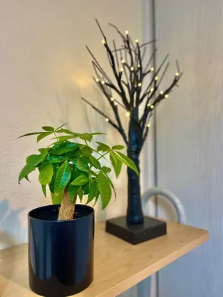 はりきゅう整体 新田鍼灸院のエステ・リラクイメージ