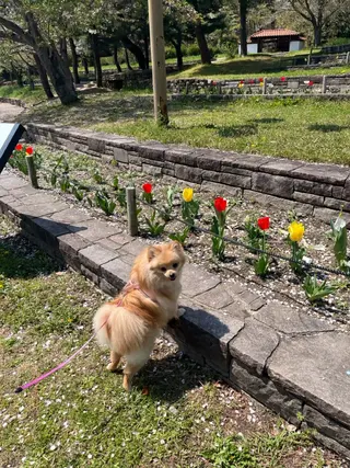 紙屋 隼人のヘアスタイル
