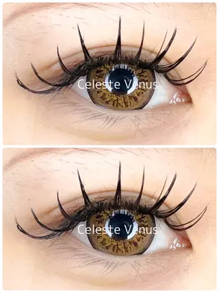 マツエク・マツパ 🧸Celeste Venusのマツエク・マツパデザイン