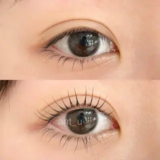 マツエク・マツパ ant_u🌷 arisaのマツエク・マツパデザイン