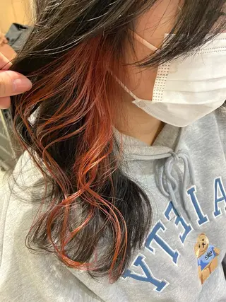 ロング カラー 🕊顔まわりカット /インナーカラー🕊のヘアスタイル