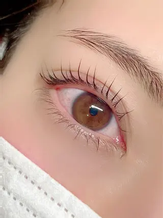 マツエク・マツパ Sein所属・Sein 千代田線 根津駅1分のマツエク・マツパデザイン