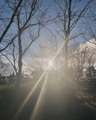 ネイル enn. makiのネイルデザイン