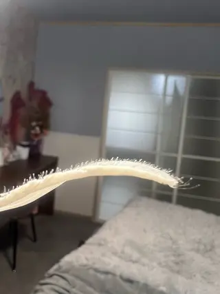 RADA(ラダ) 眉とお肌のサロンの眉毛・アイブロウイメージ