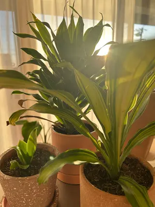 Tree Houseのエステ・リラクイメージ