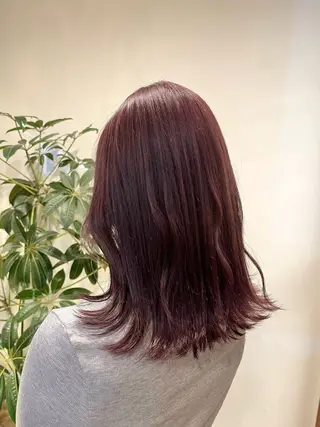 ミディアム カラー 杉原 駿亮のヘアスタイル