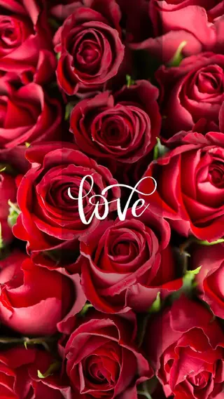 未来系Spot Beauty Salon BRI所属・✨Esthetic✨ Salon✨BRI✨のエステ・リラクイメージ