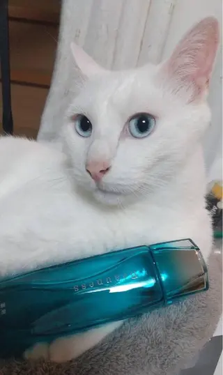 メナード中田南サロン所属・メナードフェイシャル サロン中田南店のエステ・リラクイメージ