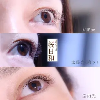 マツエク・マツパ 京都のまつげ桜日和 小島美桜のマツエク・マツパデザイン