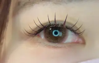 マツエク・マツパ Plume ﾌﾟﾘｭｰﾑのマツエク・マツパデザイン