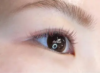 マツエク・マツパ ココ ラッシュのマツエク・マツパデザイン