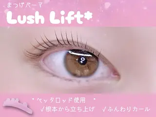 マツエク・マツパ 【ダメージケア特化】 🌸 サクララッシュの眉毛・アイブロウイメージ