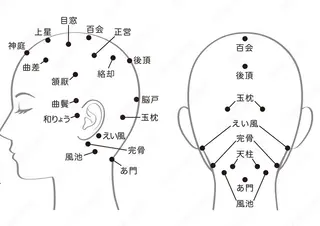 ショート 🤲ヘッドスパ🤲 たにぐちあつし🤲のヘアスタイル