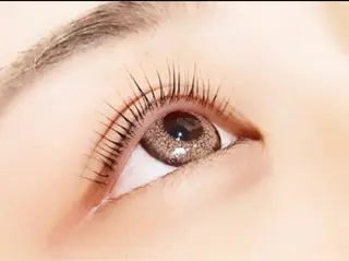 マツエク・マツパ MAQUIAいわき店 佐藤のマツエク・マツパデザイン