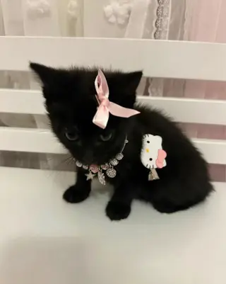 ネイル つめノ さきのネイルデザイン