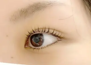 マツエク・マツパ eyelash "Koa"🕊🤎のマツエク・マツパデザイン