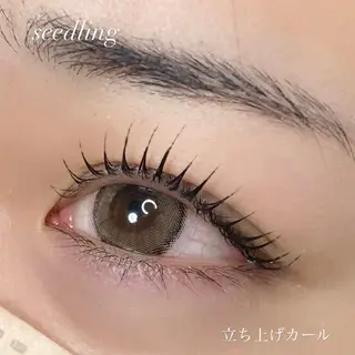 マツエク・マツパ シードリン 府内店 杉田のマツエク・マツパデザイン