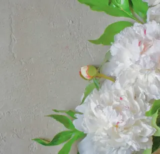 Mimu. momokaの眉毛・アイブロウイメージ