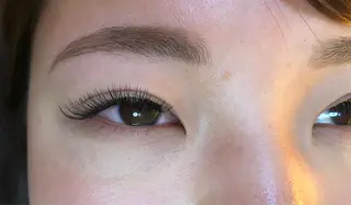 マツエク・マツパ 無料モデル募集中 Ann Mossのマツエク・マツパデザイン