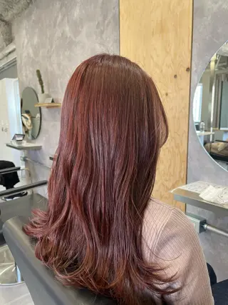 セミロング yui/ layer cutのヘアスタイル