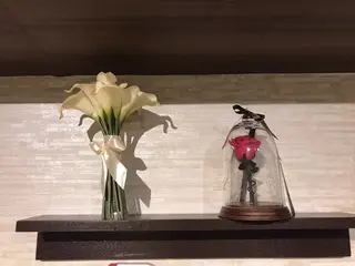 美容スポーツ整体Supreme Ace所属・骨盤矯正　SA ゆかりのエステ・リラクイメージ