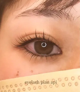 マツエク・マツパ 《eyelash ｉｉｔｅ》森のマツエク・マツパデザイン