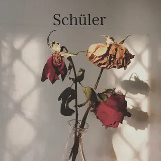 マツエク・マツパ Schüler 心斎橋のマツエク・マツパデザイン