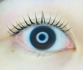 マツエク・マツパ L🎀リアン サロンのマツエク・マツパデザイン