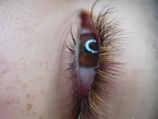 マツエク・マツパ 岡崎 良美のマツエク・マツパデザイン