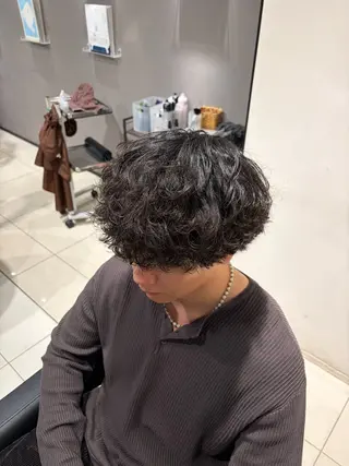 パーマ メンズ 関内/メンズパーマ/ 男性専門/菊池蒼大のヘアスタイル