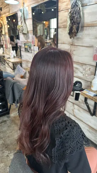 カラー 手嶋 理仁のヘアスタイル