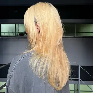 セミロング ウルフ/レイヤー/ ブリーチカラーのヘアスタイル