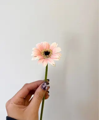 🌸花屋併設🌸寺島 秀美のヘアスタイル