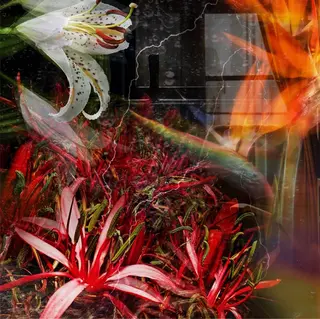 POLA THE BEAUTY 多治見けやき通り店所属・多治見店POLA 大島のエステ・リラクイメージ