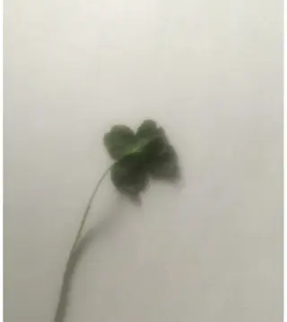 ショート メンズ メンズカットモデル 募集中🌟しおんのヘアスタイル