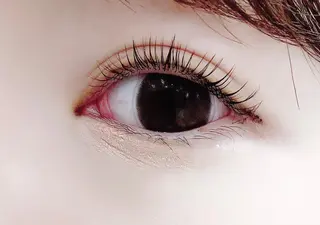 マツエク・マツパ eyelash "Koa"🕊🤎のマツエク・マツパデザイン