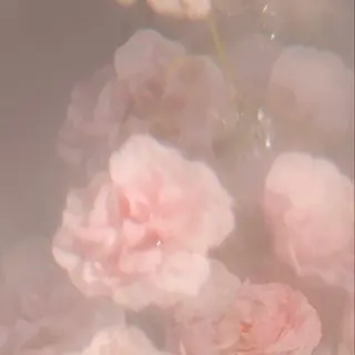 さつき🐩🖤 束感/可愛い/韓国風のマツエク・マツパデザイン