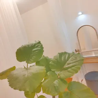 ☾⭒肌育+巡るカラダ 創り専門CREA⭒☽のエステ・リラクイメージ