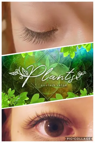 マツエク・マツパ Plants　斧田 ひろみのマツエク・マツパデザイン