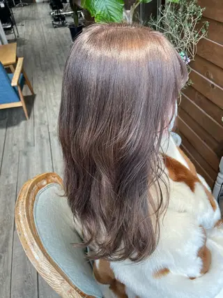 セミロング カラー exfa sakura🪞のヘアスタイル