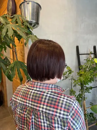 ショート カラー 【史上最高】口コミ No.1/ナツキのヘアスタイル