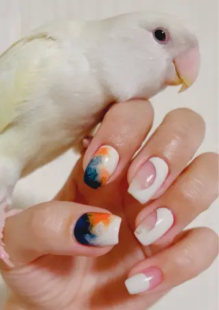 ネイル 透灯 TOUTOU 🪄のネイルデザイン