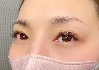 マツエク・マツパ 無料モデル募集中 Ann Mossのマツエク・マツパデザイン