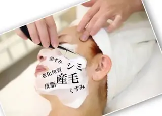 志賀 千鶴のヘアスタイル