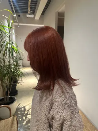 ミディアム あゆみ︎︎✮／ 暖色カラー／レイヤーのヘアスタイル