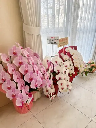 一ノ瀬 ゆいのエステ・リラクイメージ