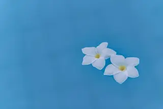 足つぼ&温活アロマ みどりの時間のエステ・リラクイメージ