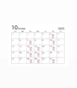 ミディアム カラー MIREI /韓国風 ショート/大阪美容室のヘアスタイル