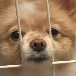 松本｜似合わせ眉 ×まつげパーマ×ヘアの眉毛・アイブロウイメージ