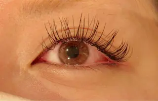 マツエク・マツパ 🦋Dio...川越 MINAKI🦋のマツエク・マツパデザイン